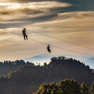 Zipline ZL