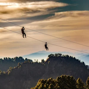 Zipline Top ZLT